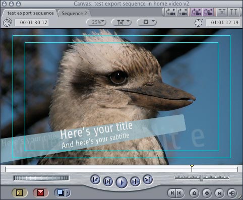 Screenshot of the Canvas's Video tab in Final Cut Pro